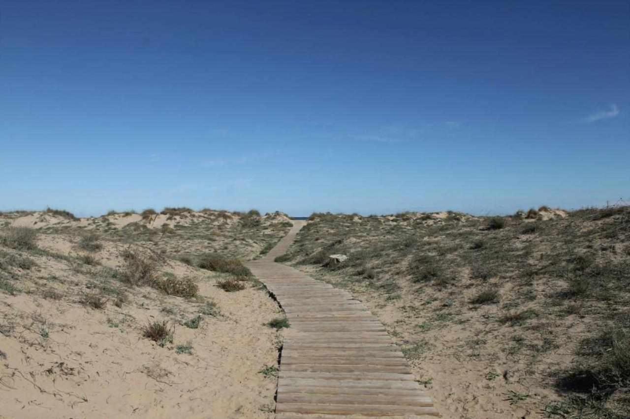 Apartamento De Lujo En La Playa Oliva Eksteriør billede